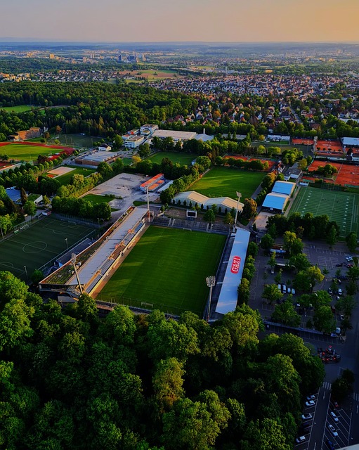 给观众带来 给观众带来