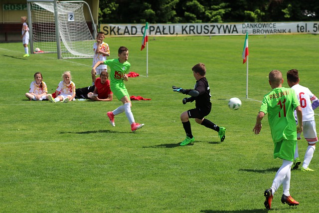 环保效果 环保效果