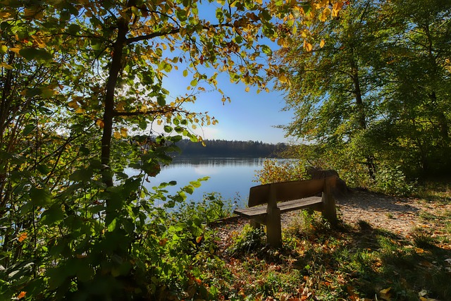 廣州恒大的 廣州恒大的