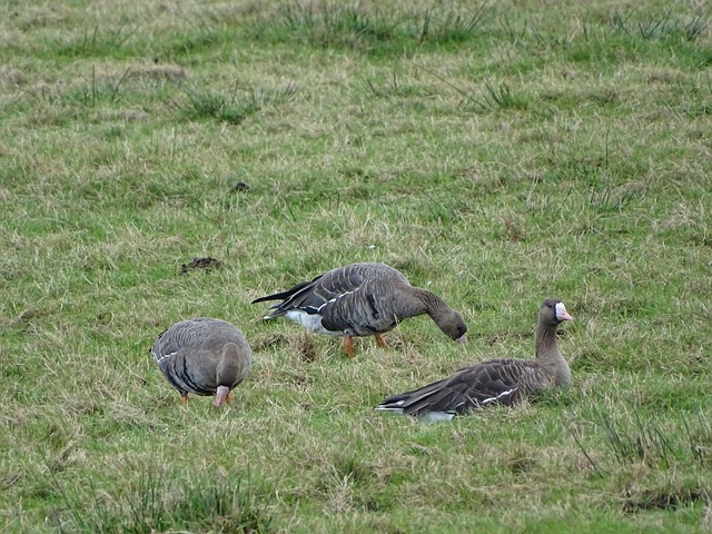 定了自己的 定了自己的
