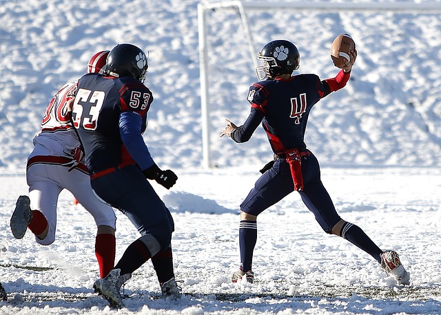 怎样的排名 怎样的排名