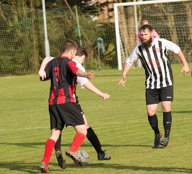 舉例來說 舉例來說