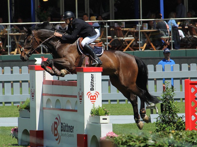 傲的成绩 傲的成绩