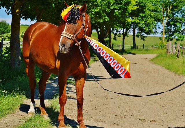 高压防守 高压防守