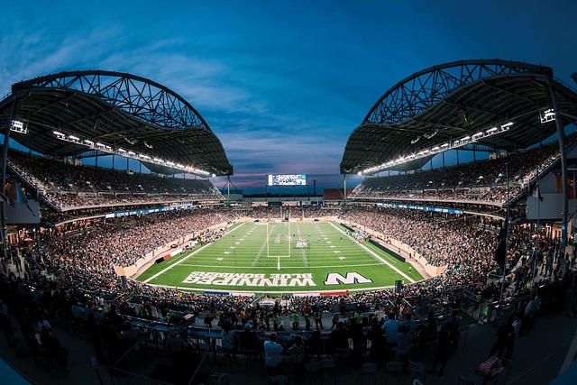 东队在比赛 东队在比赛