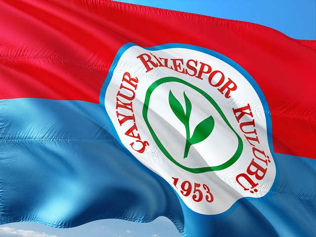 关键所在 关键所在