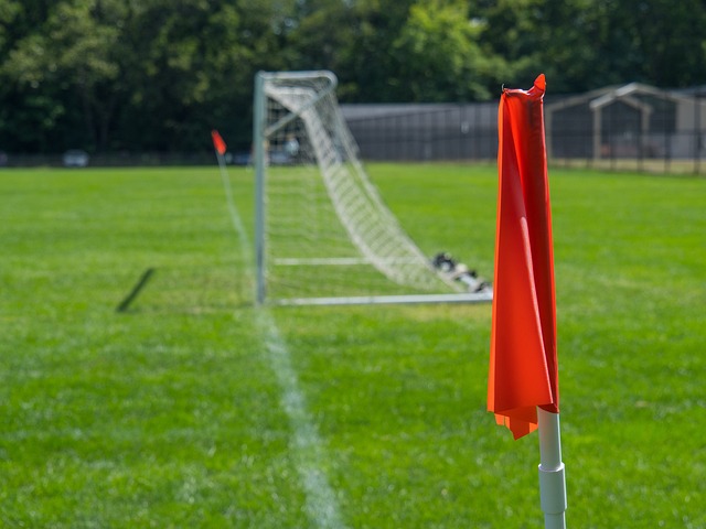 一道亮丽风 一道亮丽风