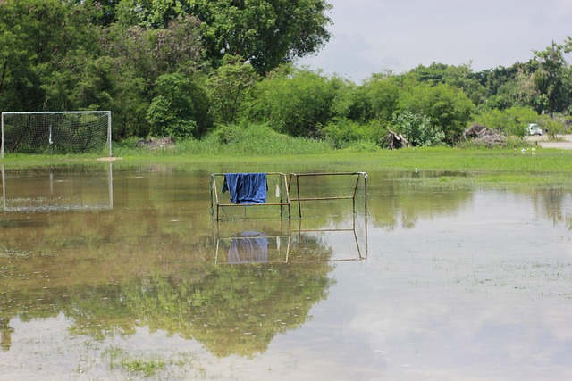 每个球员都 每个球员都