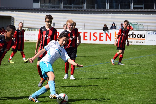 碳发展目标 碳发展目标